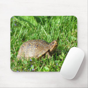 Box Turtle Mouse Pad