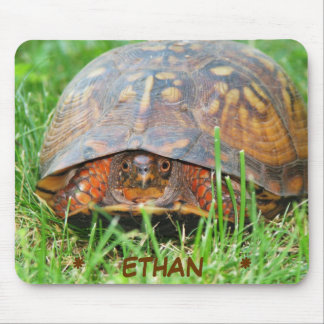 Box Turtle Mouse Pad