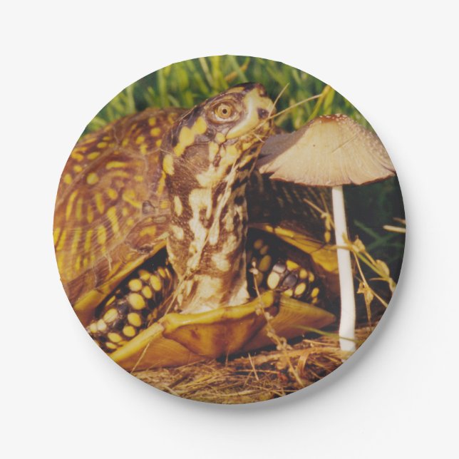 Box Turtle Mushroom Paper Plate (Front)