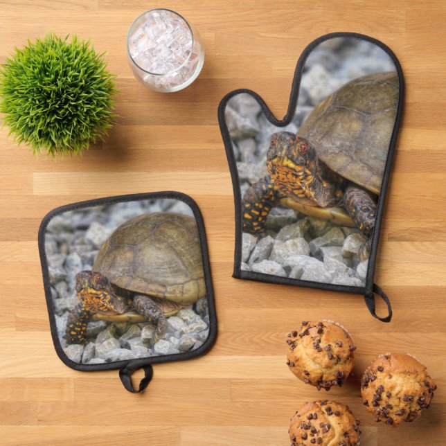 Box Turtle  Oven Mitt & Pot Holder Set (Top Down)