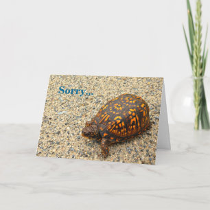 Box Turtle Sorry Belated Birthday Card