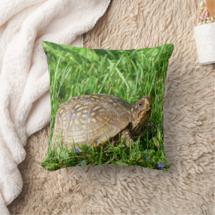 Box Turtle Throw Pillow