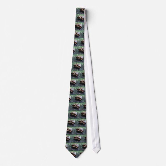 Box Turtle Tie (Front)