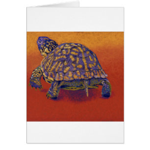 Box Turtle, tortoise