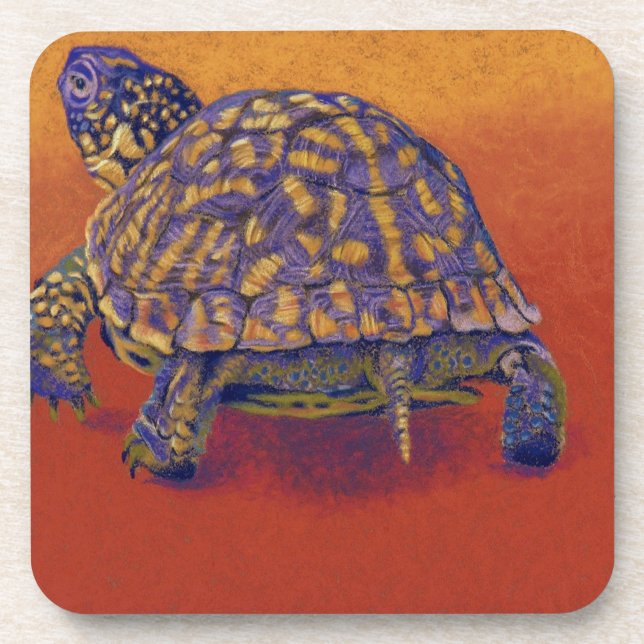 Box Turtle, tortoise Coaster (Front)