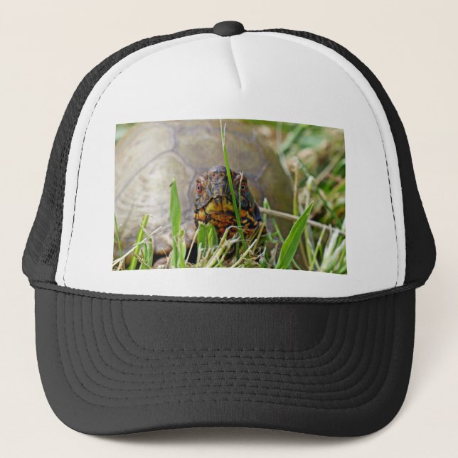 Box Turtle Trucker Hat (Front)