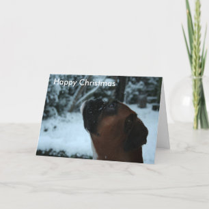 Boxe chien jolie carte de Noël