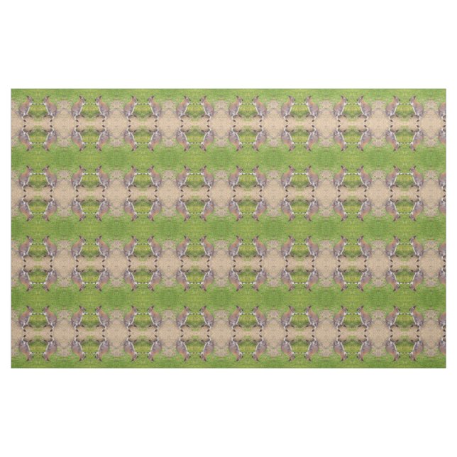 Boxe Tissu Kangaroos (Yard)