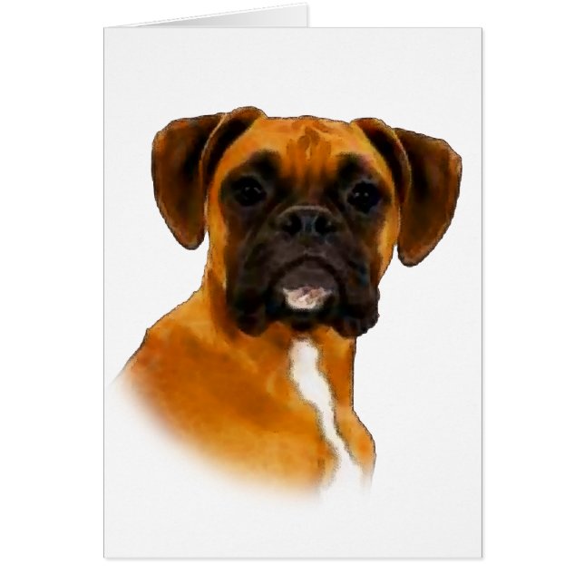 Boxer (Front)