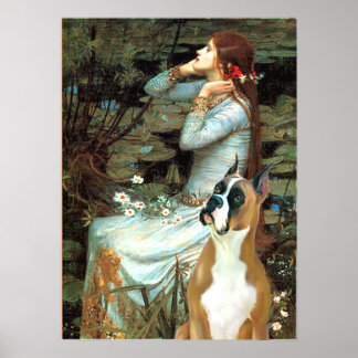 Boxer 1 (cropped ears) - Ophelia Poster