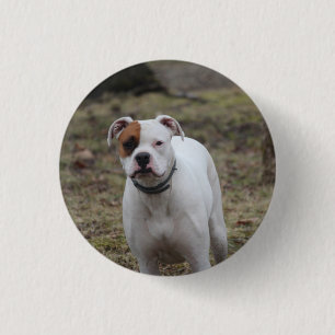 Boxer 1 inch round button