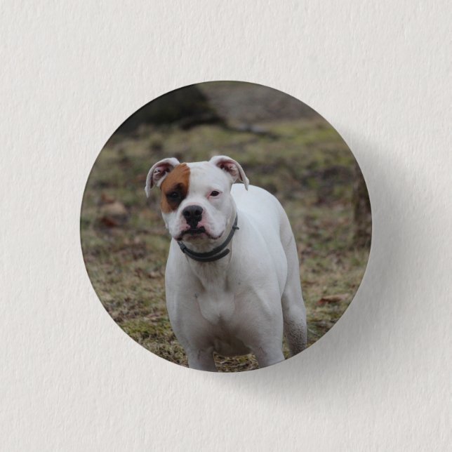 Boxer    1 inch round button (Front)