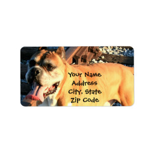 Boxer Address labels