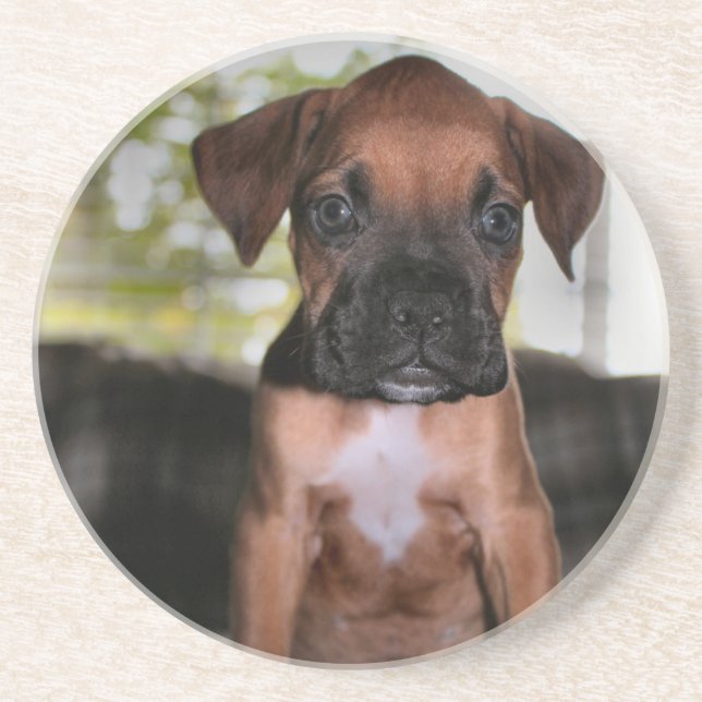 Boxer baby coaster (Front)