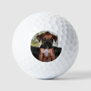 Boxer baby  golf balls