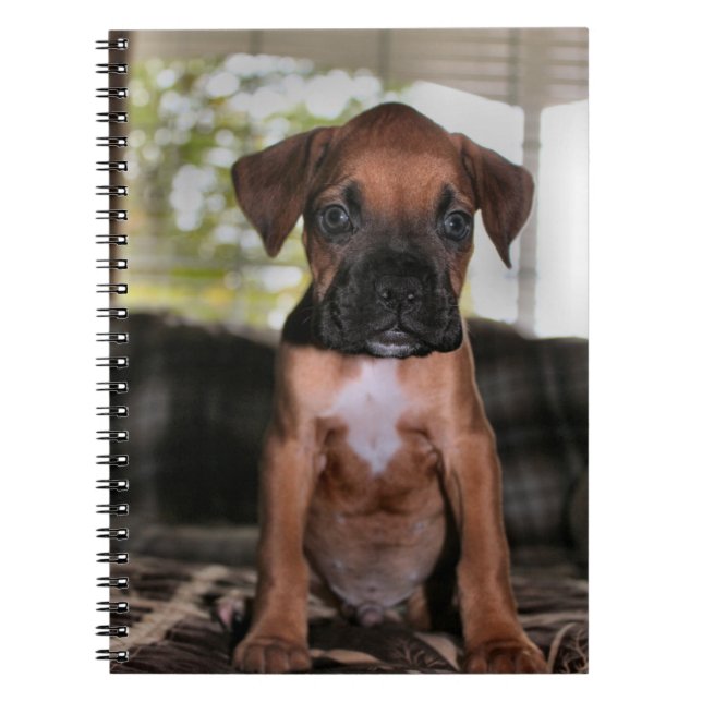 Boxer baby notebook (Front)