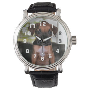 Boxer baby silver plated necklace watch