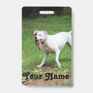 Boxer Badge