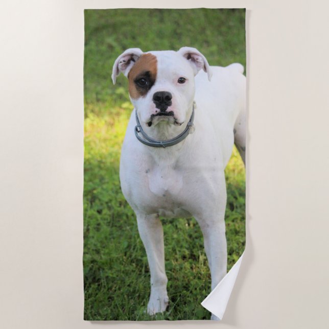Boxer Beach Towel (Front)