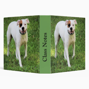 Boxer Binder