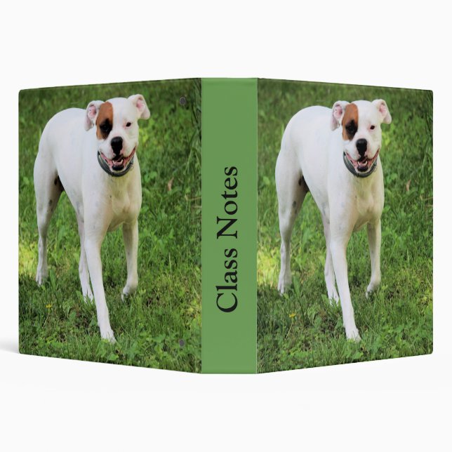 Boxer Binder (Background)