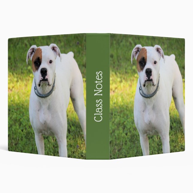 Boxer Binder (Background)