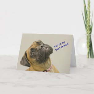 Boxer Birthday Card