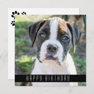 Boxer Bonne Anniversaire Voeux Chien Carte Anniver