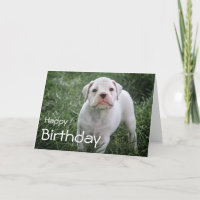 Boxer Bonne Carte Anniversaire