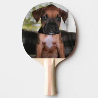 Boxer Bqby  Ping Pong Paddle