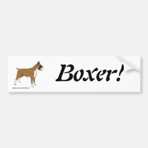 Boxer! Bumper Sticker