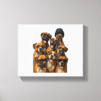 Boxer