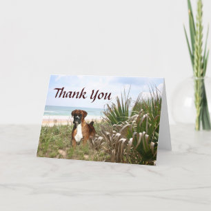 Boxer Carte de remerciements Caché Dans La Beachgr