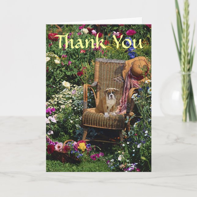 Boxer Carte de remerciements Dans Le Jardin (Devant)