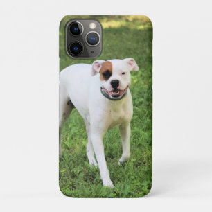 Boxer iPhone 11 pro case
