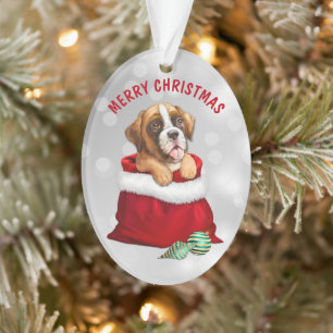Boxer Chien Cadeau Surprise Ornement
