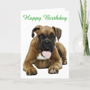 Boxer Chien Chien Chien Heureux Anniversaire Carte