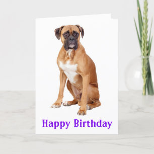 Boxer Chien Chien Chien Heureux Anniversaire Carte