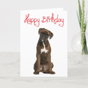 Boxer Chien Chien Chien Heureux Anniversaire Carte