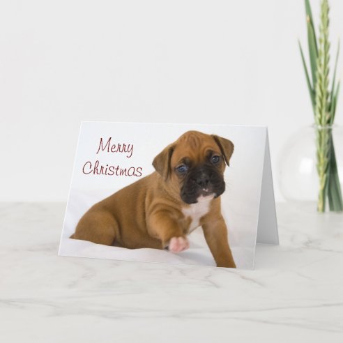 Boxer puppy Christmas Card
