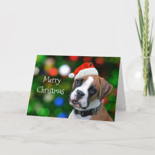Boxer Christmas Holiday Card