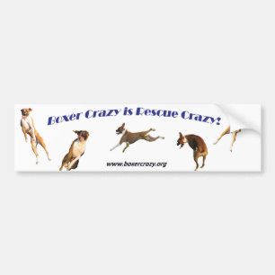 Boxer Crazy Bumpersticker - Air Abby Bumper Sticker