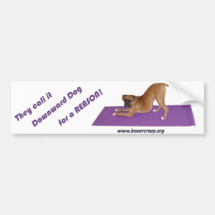 Boxer Crazy Bumpersticker - Yoga Bumper Sticker
