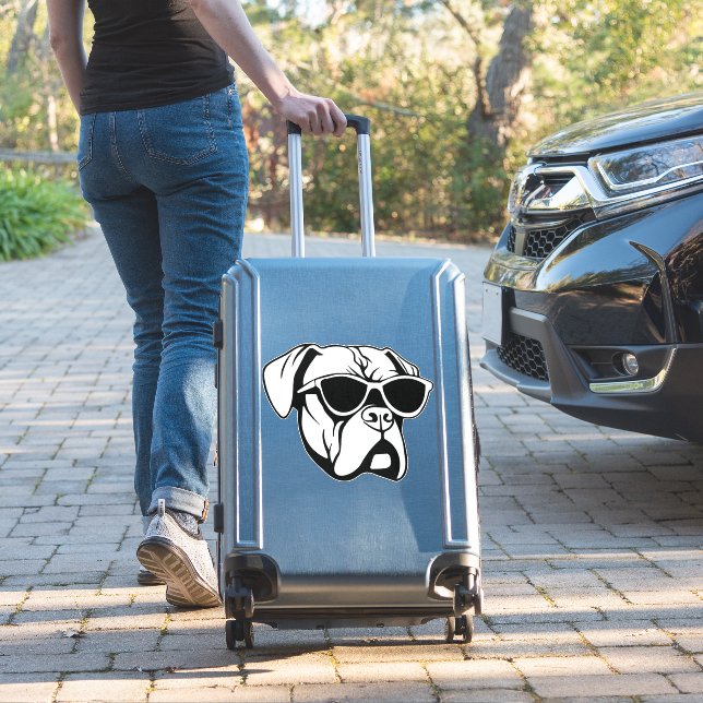 Boxer Dog (Suitcase Insitu)