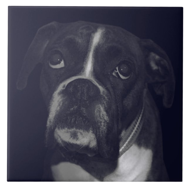 BOXER DOG 4, Pet Love, Best Friend KEEPSAKE Tile (Front)