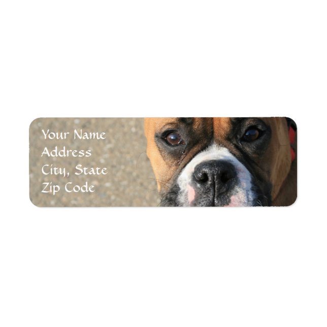 Boxer dog address Labels (Front)