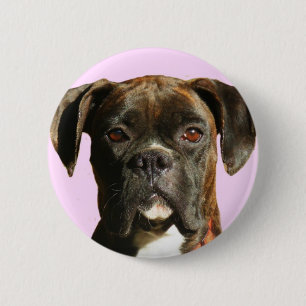 Boxer Dog button