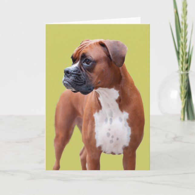 Boxer dog card (Front)