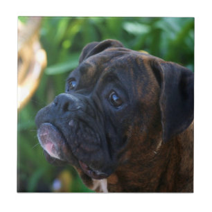 boxer dog Ceramic Tile