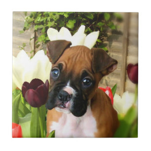 boxer dog Ceramic Tile
